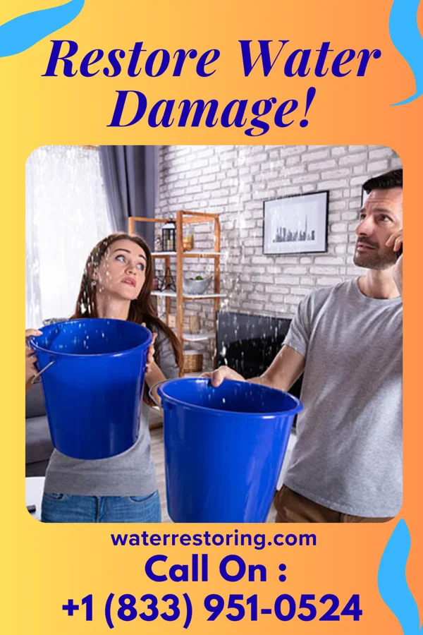 water restoration Hawk Water Damage Services Owensboro